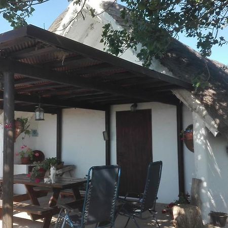 La Barraca D'En Salvador Vila Deltebre Exterior foto